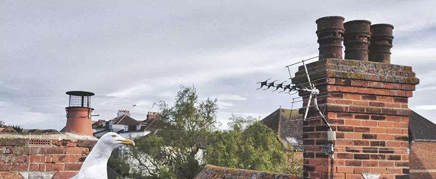 Chimney Cleaning And Restoration in Southbridge, Massachusetts