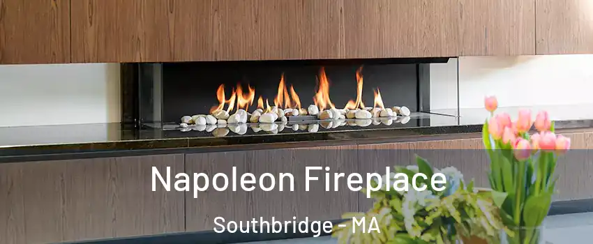  Napoleon Fireplace Southbridge - MA